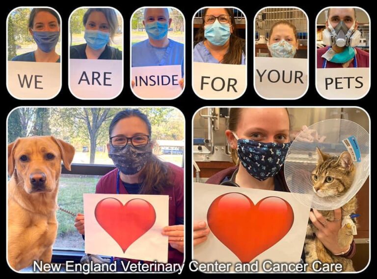 #RemarkableVets from Across the Nation Go Above and Beyond to Make a Difference