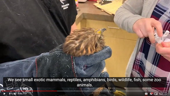 Avian & Exotic Animal Care’s “Wild” In-Service
